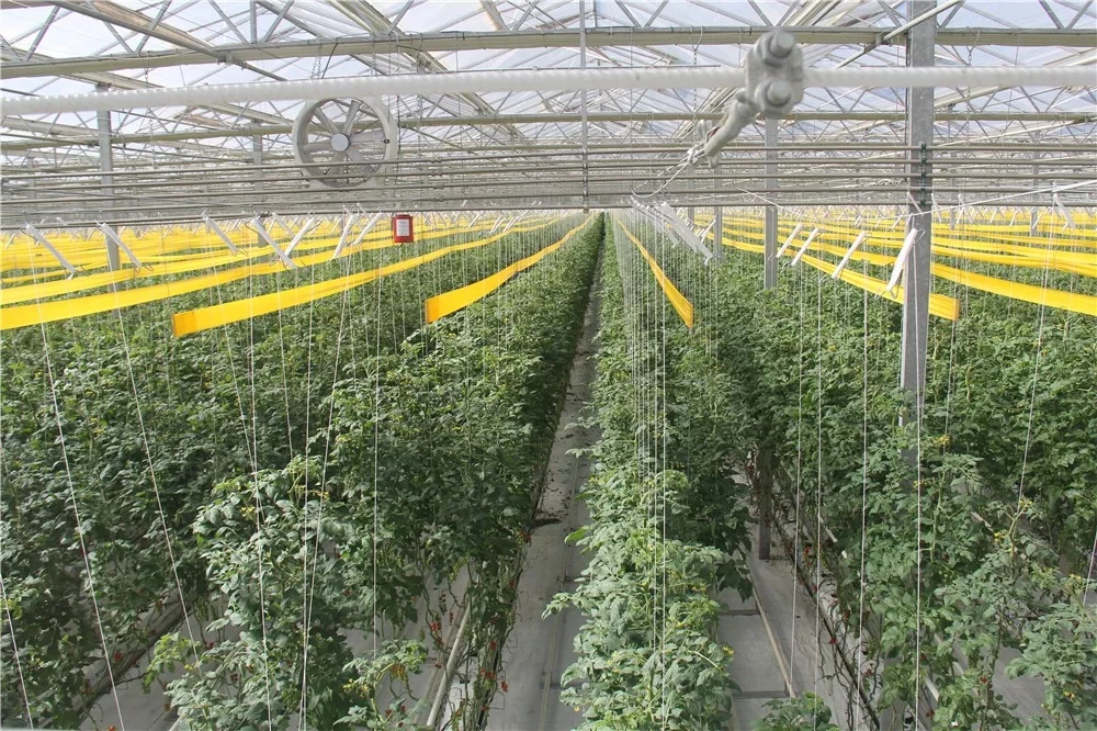 640.webp (9).jpg 640.webp (9).jpg