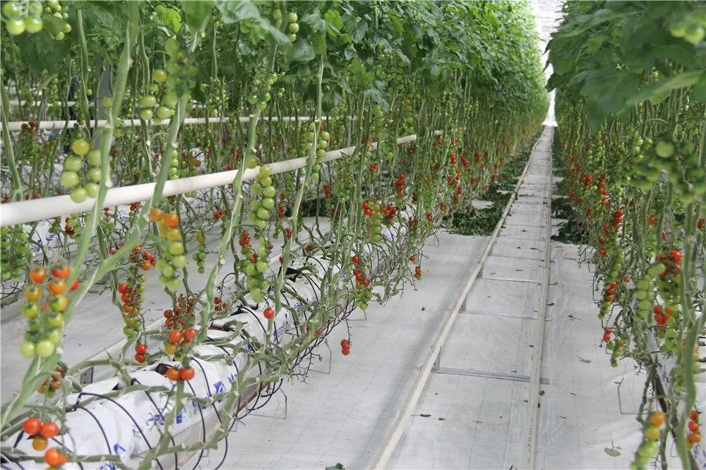 640.webp (12).jpg 640.webp (12).jpg