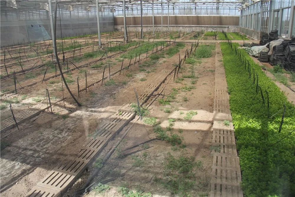 640.webp (3).jpg 640.webp (3).jpg