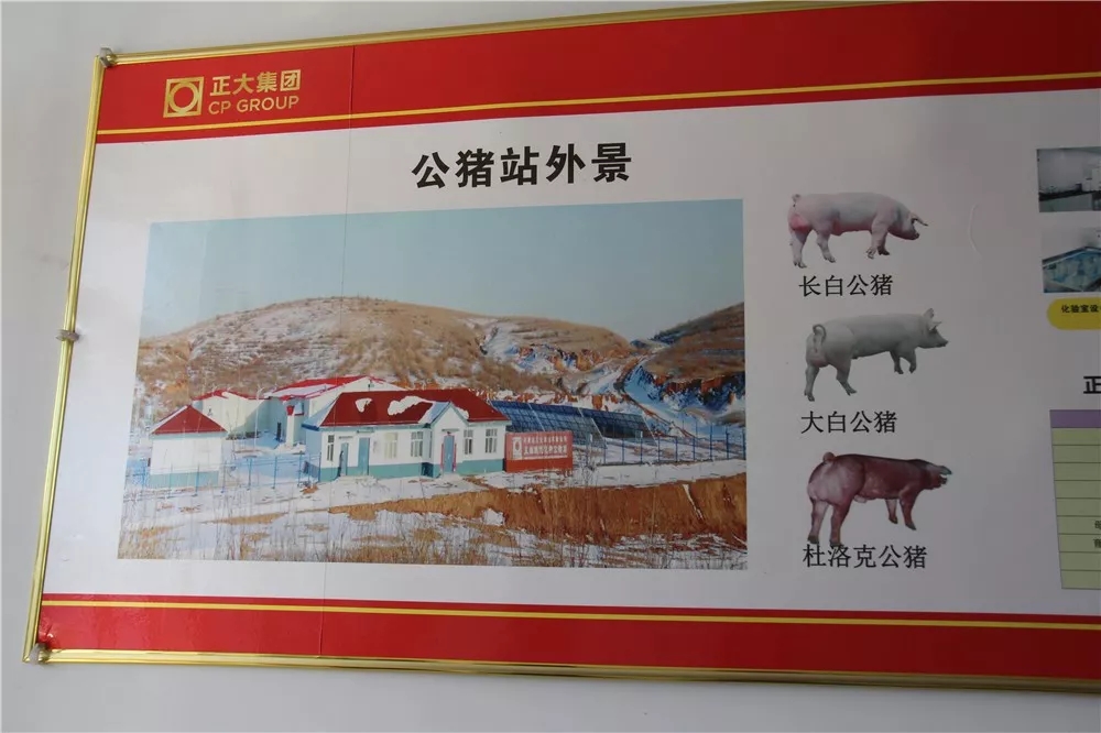 640.webp (11).jpg 640.webp (11).jpg