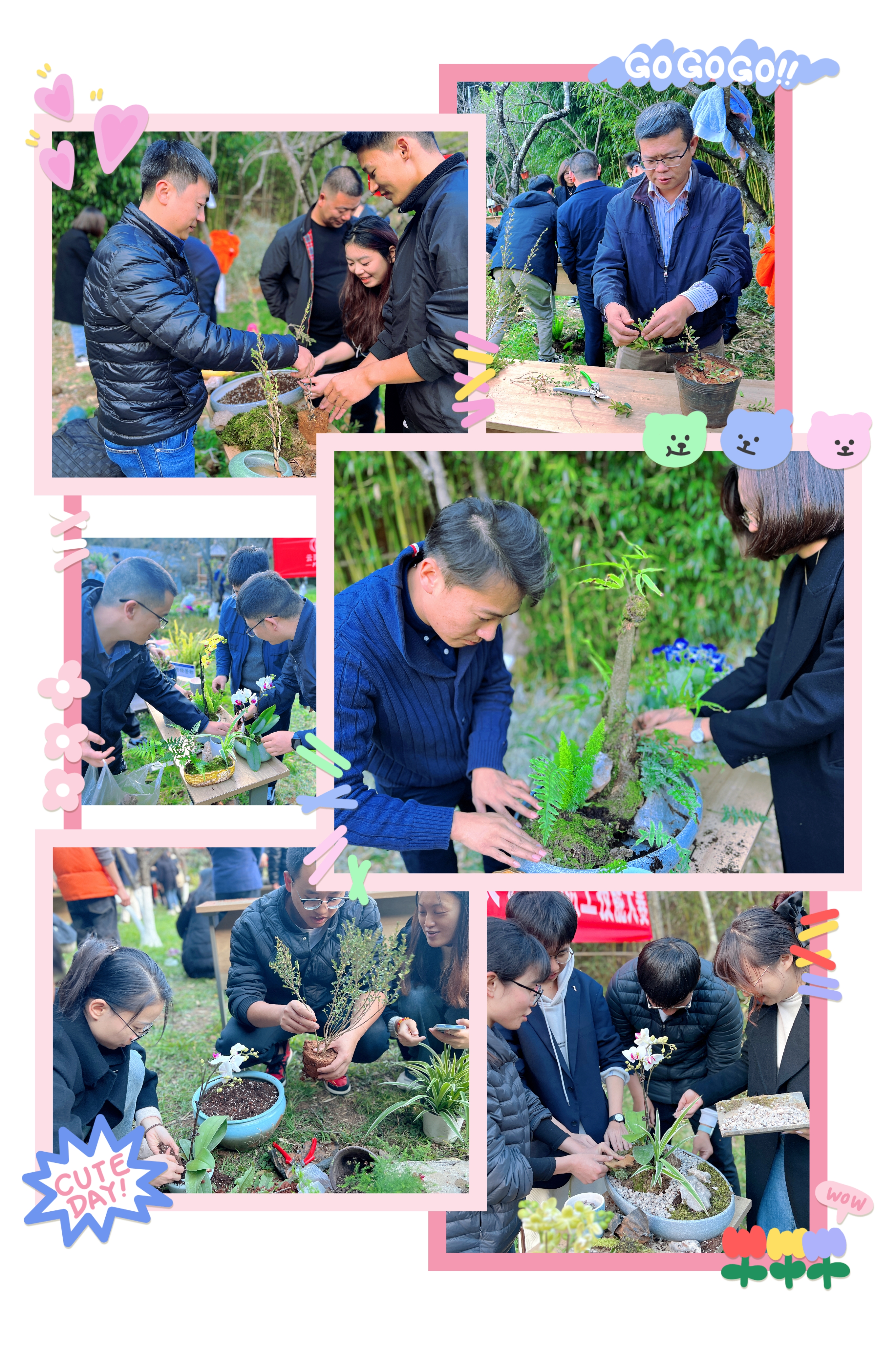 1702437131148001.jpg 1702437131148001.jpg