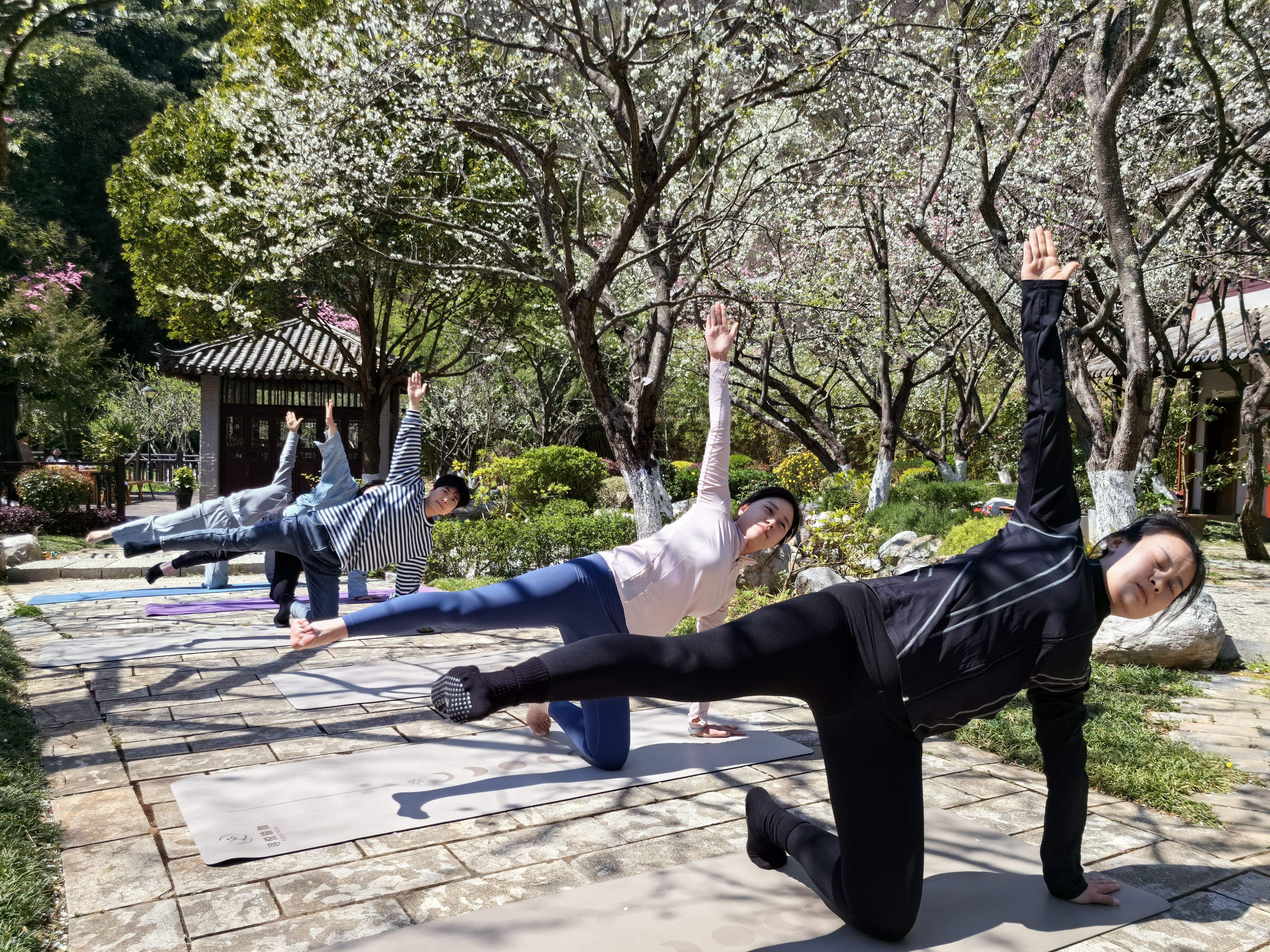 1710119531843208.jpg 1710119531843208.jpg