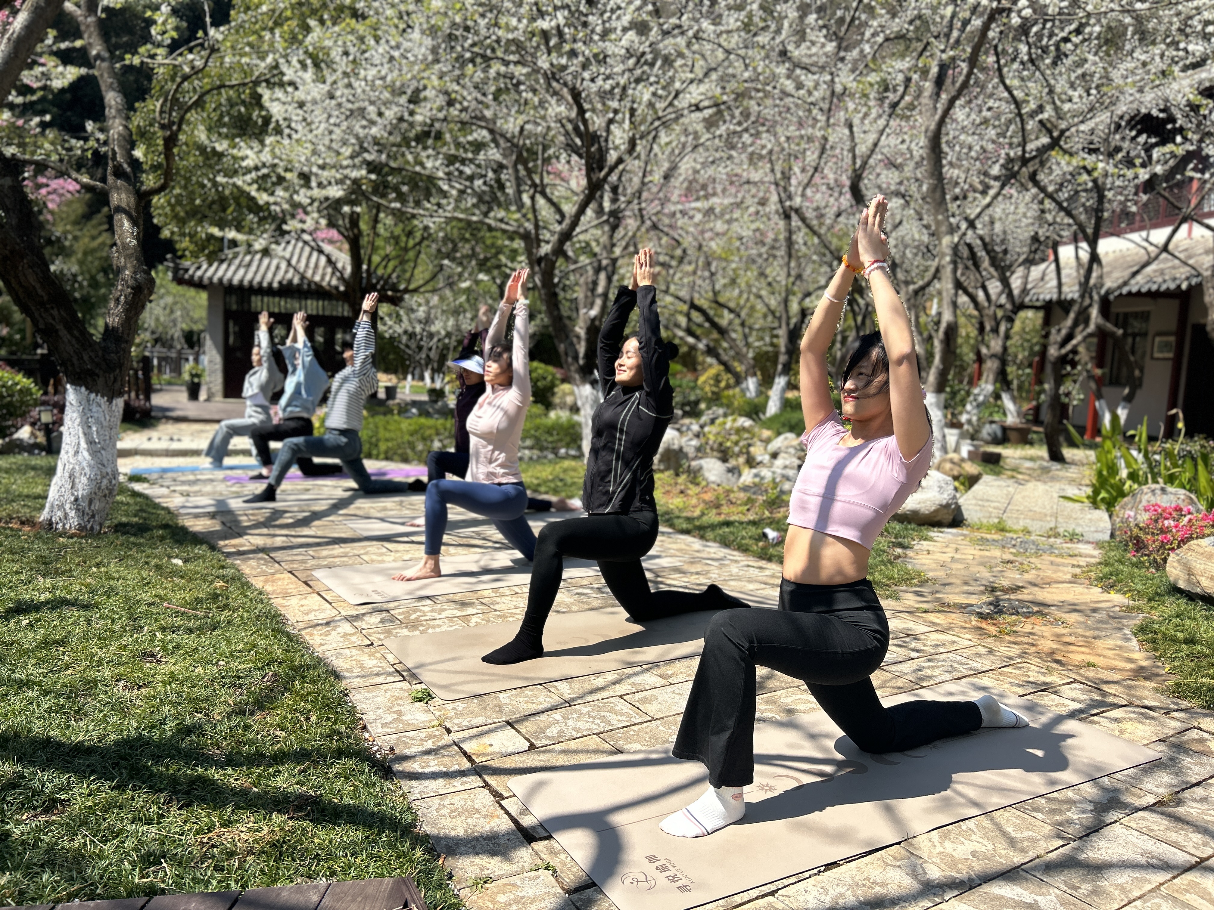 1710119565438955.jpg 1710119565438955.jpg