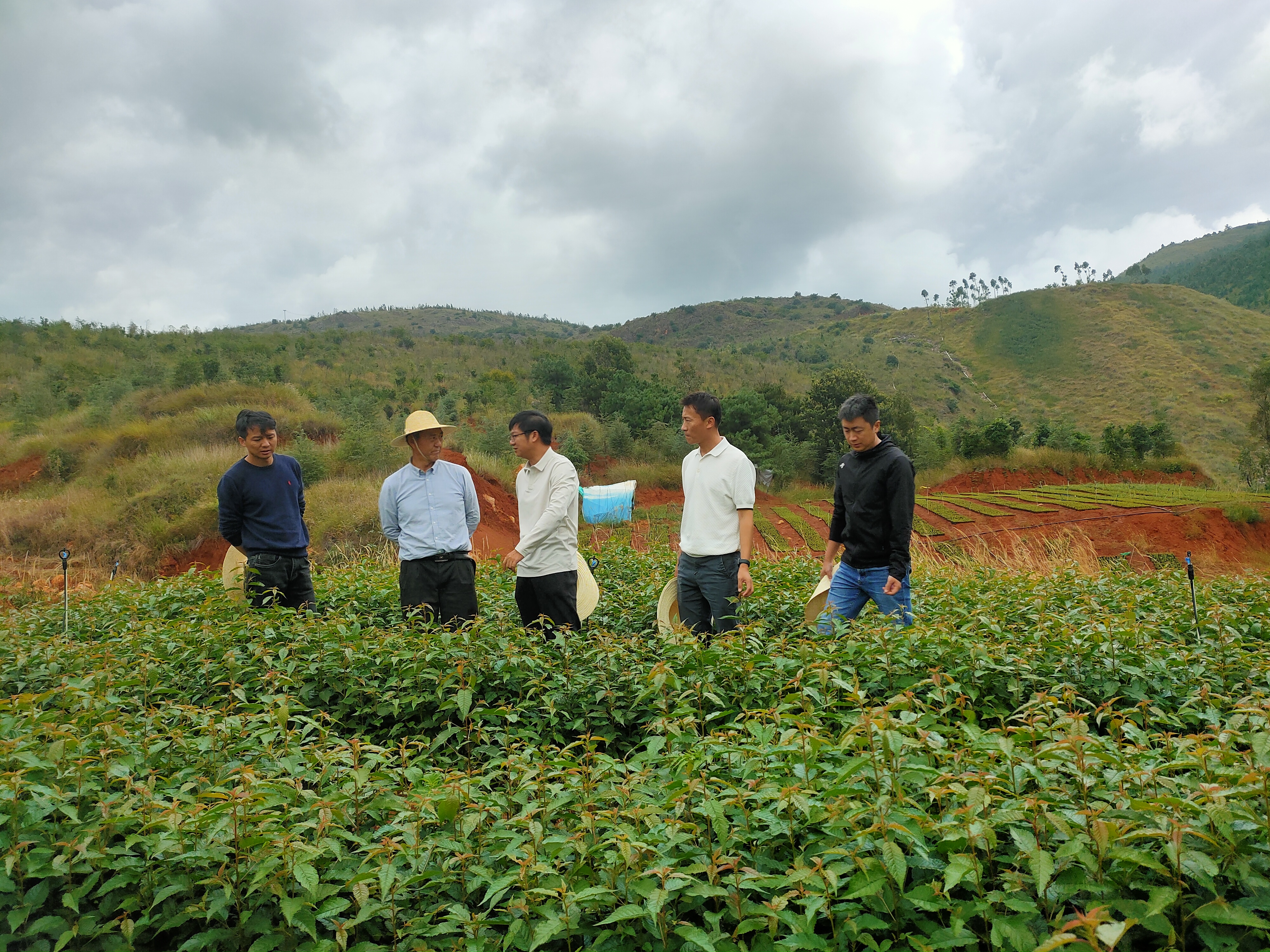 1728225292126499.jpg 1728225292126499.jpg