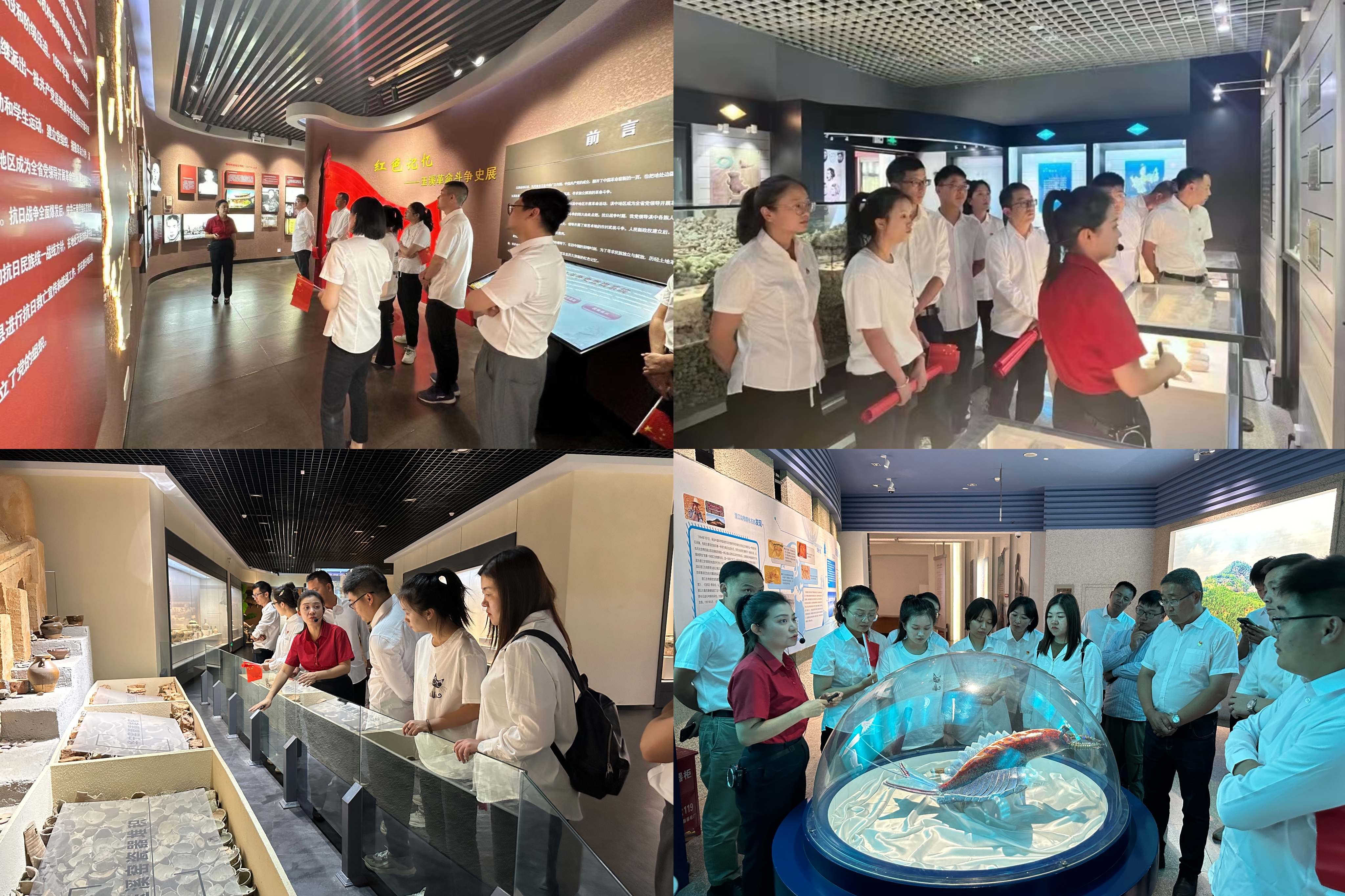 1729216986256852.jpg 1729216986256852.jpg