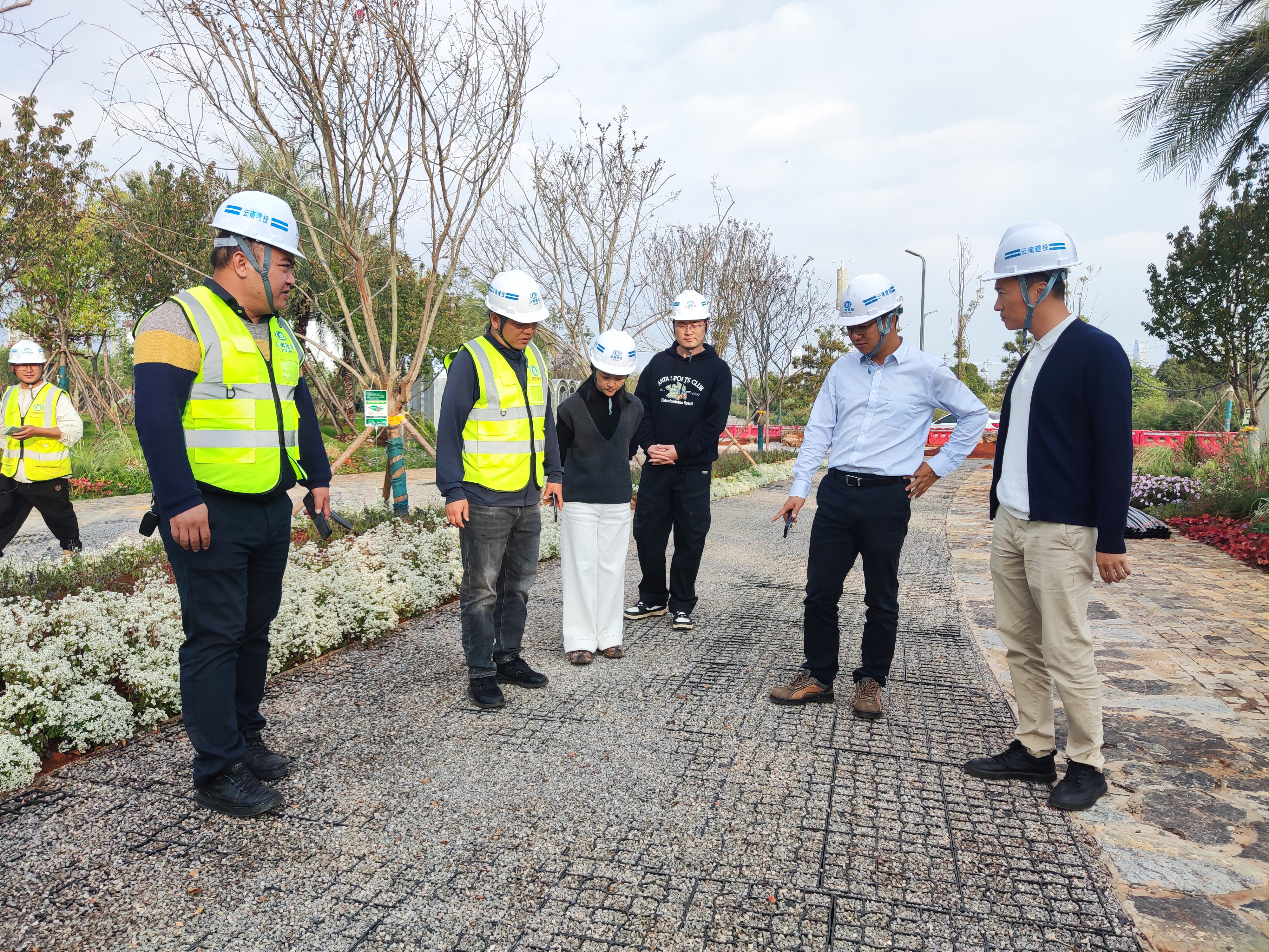 1730162533641626.jpg 1730162533641626.jpg