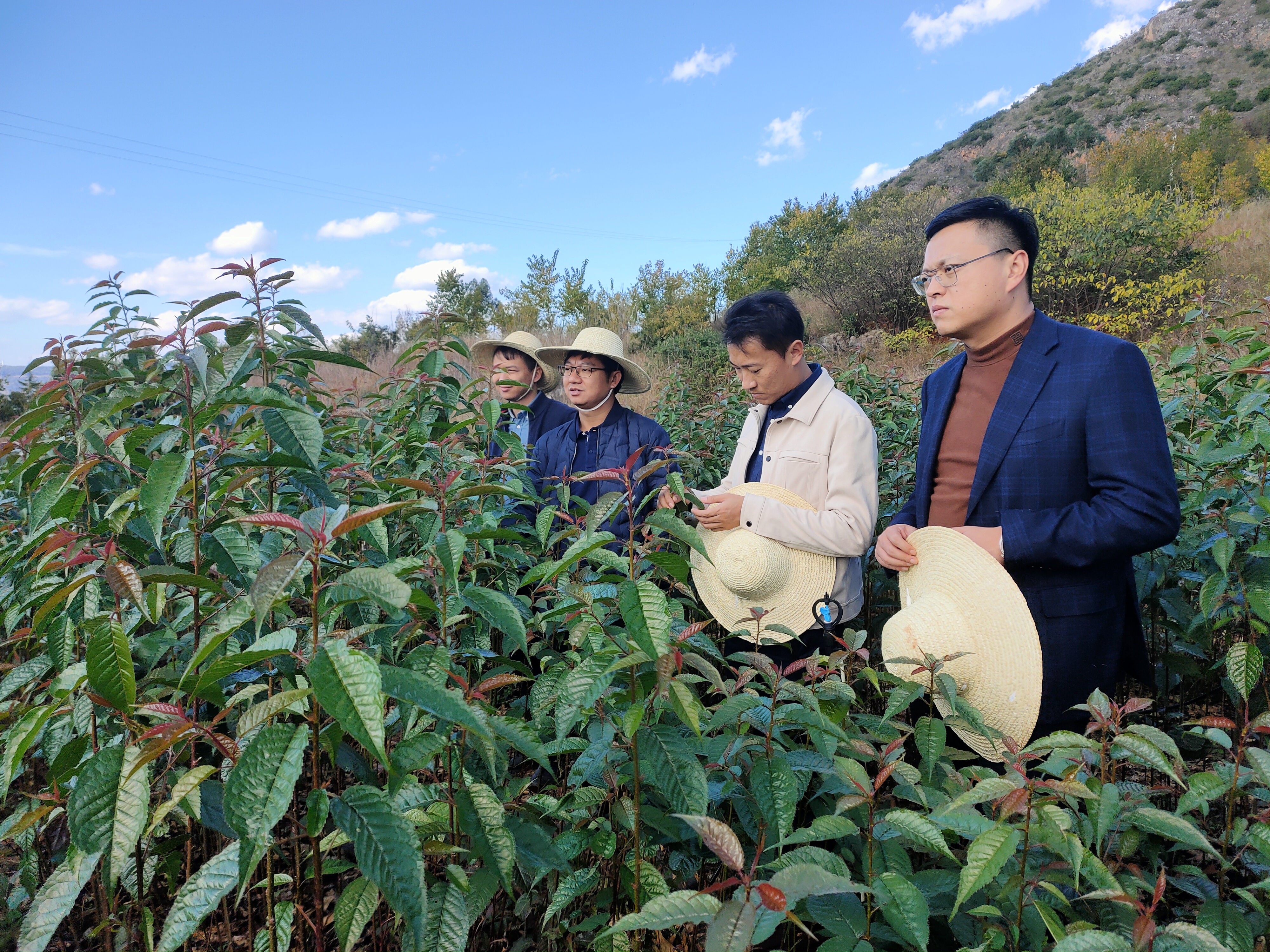 1732755445675009.jpg 1732755445675009.jpg