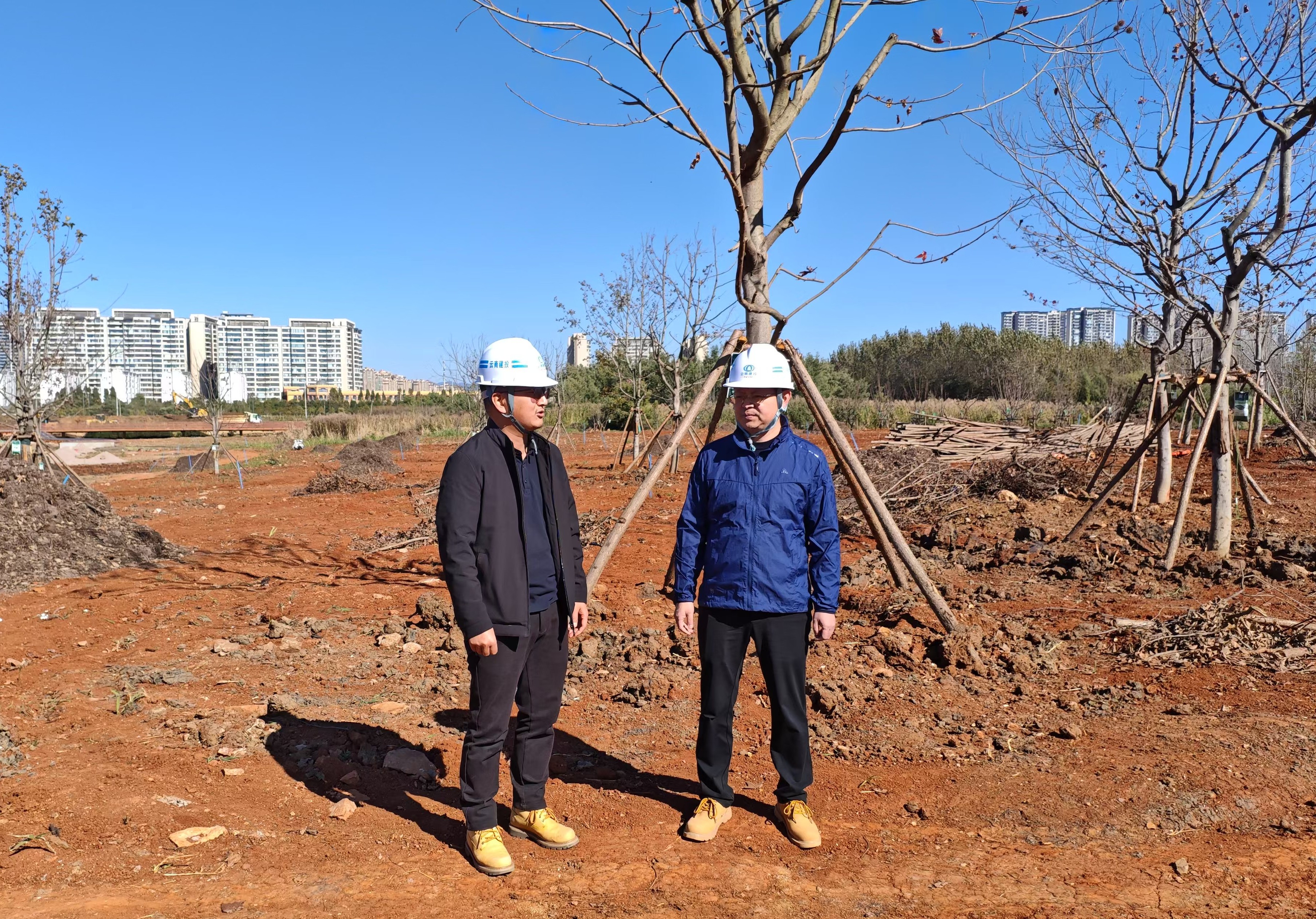 1733359569911322.jpg 1733359569911322.jpg