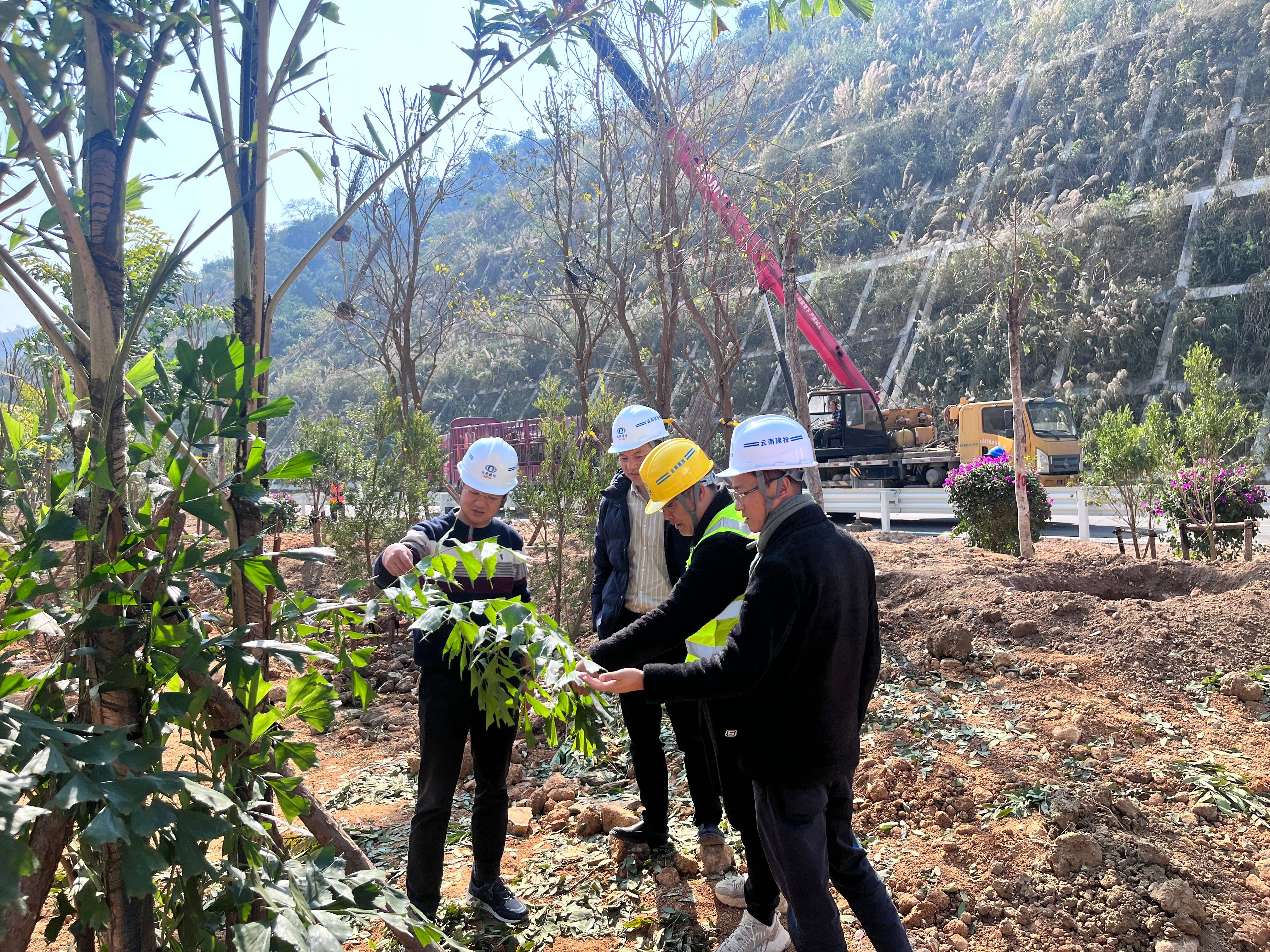 1738744769335058.jpg 1738744769335058.jpg