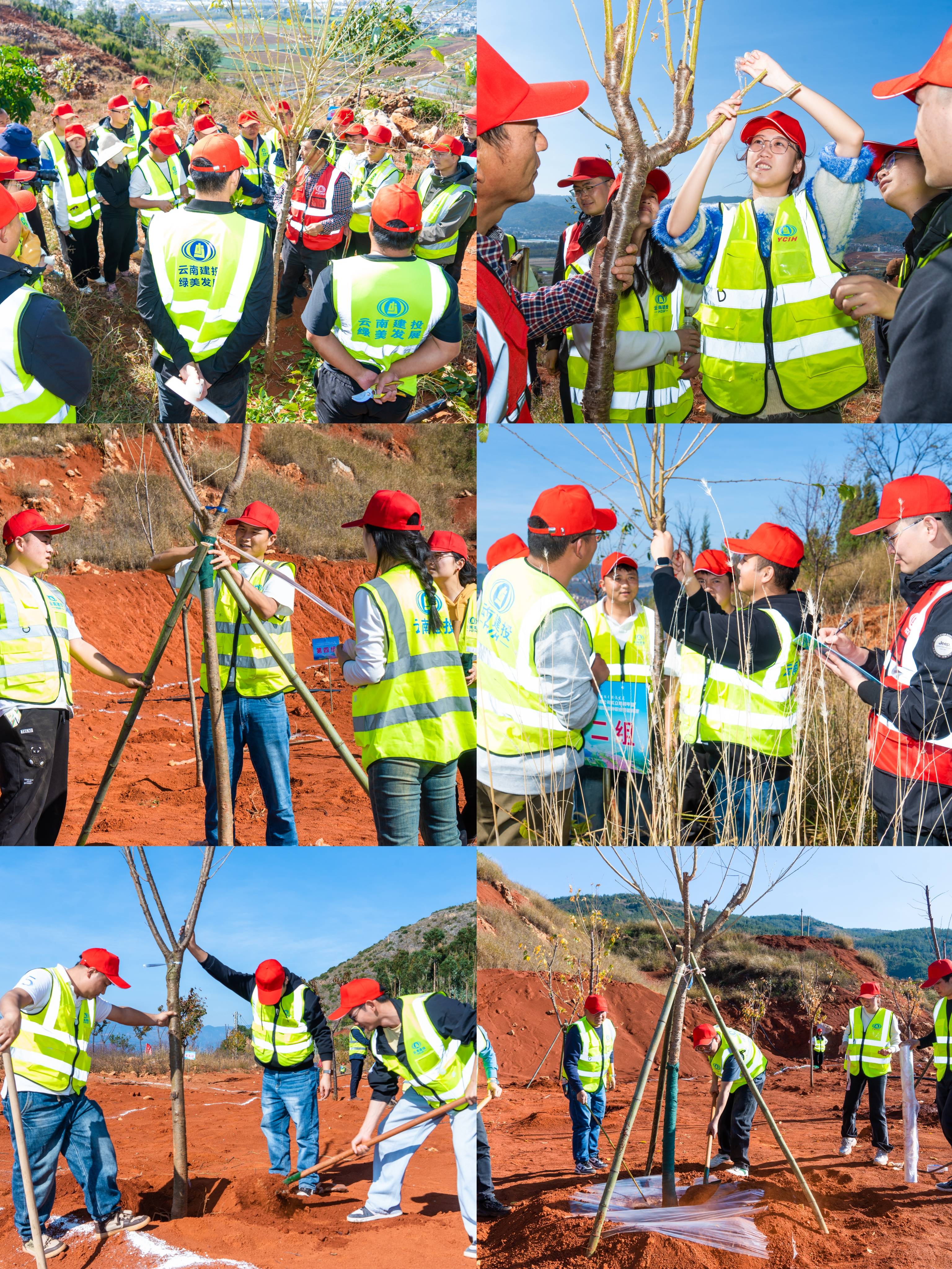 1738809000534129.jpg 1738809000534129.jpg