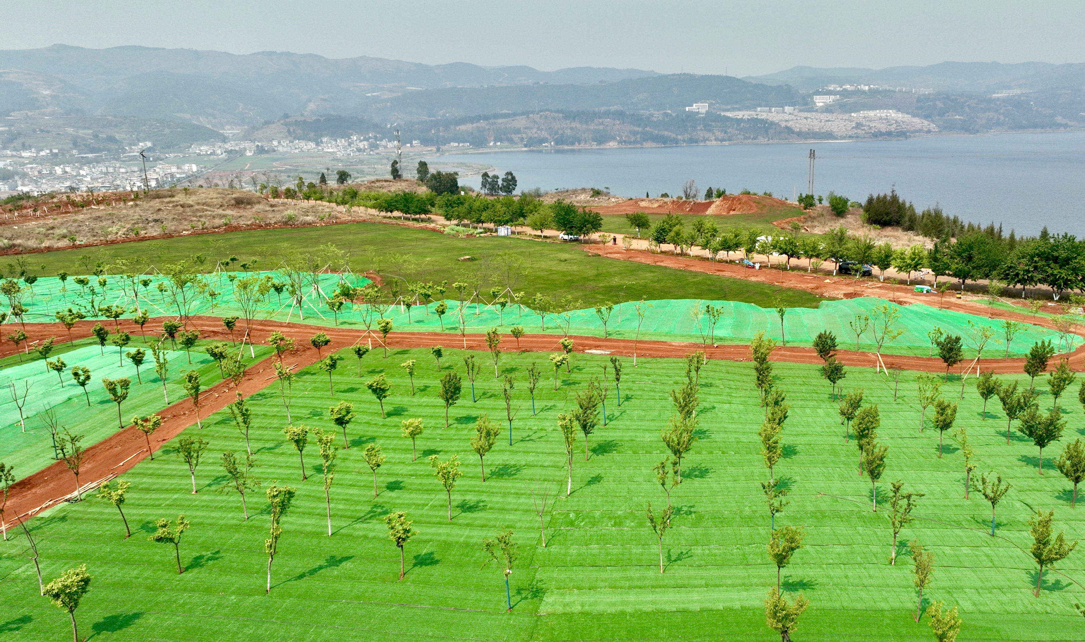 1742345423502195.jpg 1742345423502195.jpg