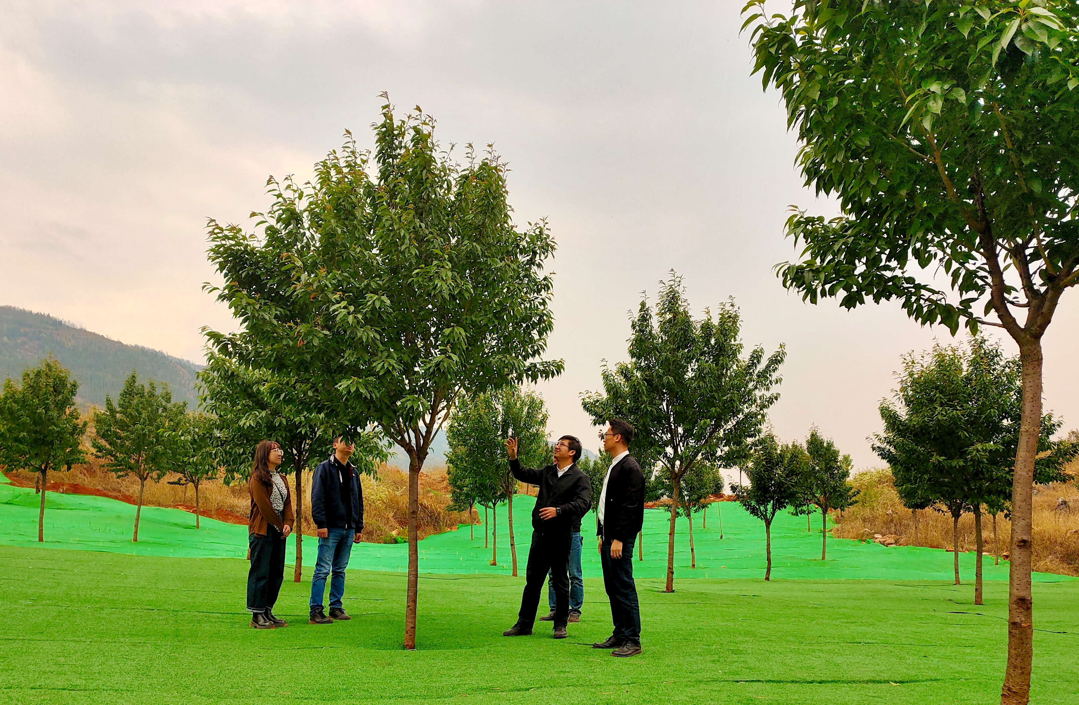 1742345671291643.jpg 1742345671291643.jpg