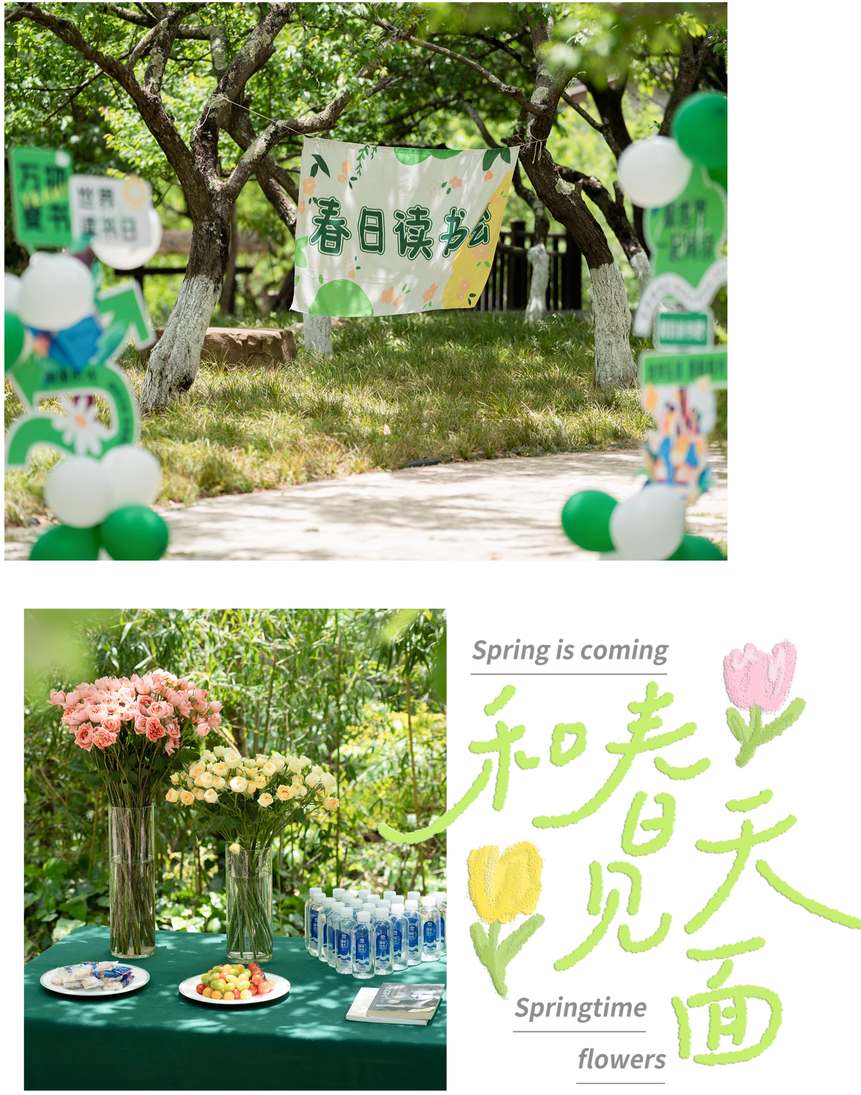 1745463600111310.jpg 1745463600111310.jpg