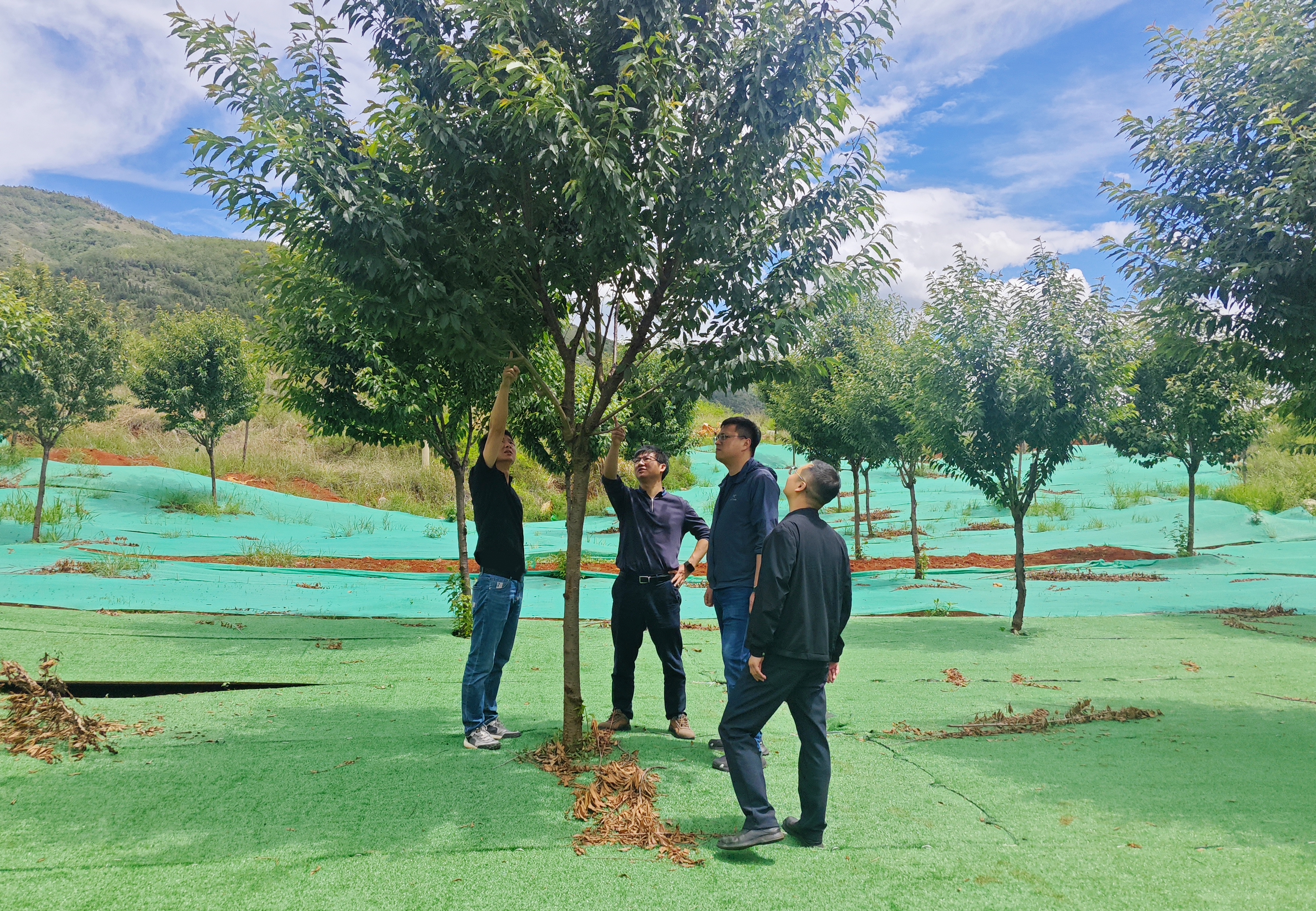 1748912088368468.jpg 1748912088368468.jpg