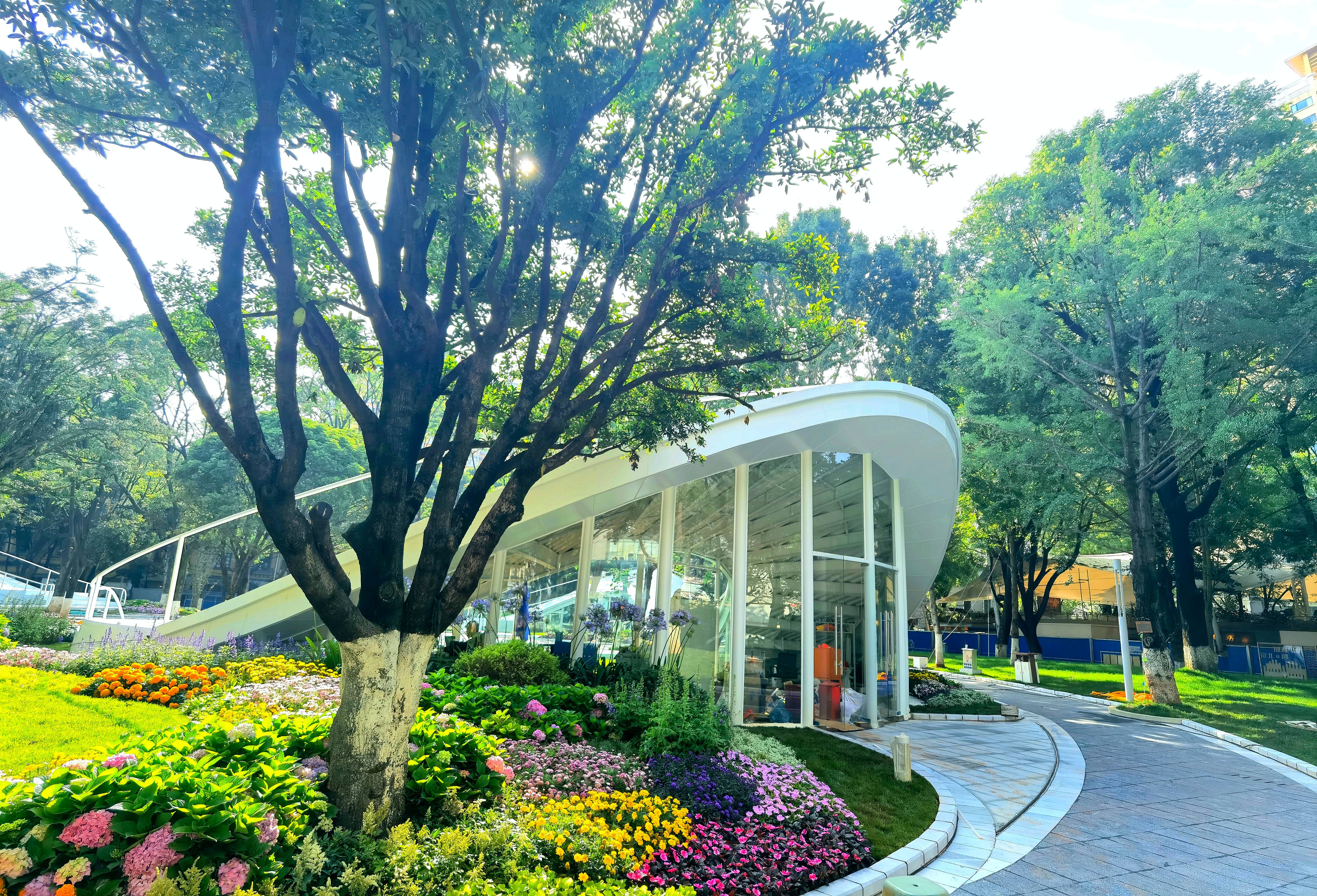 1749714277726800.jpg 1749714277726800.jpg