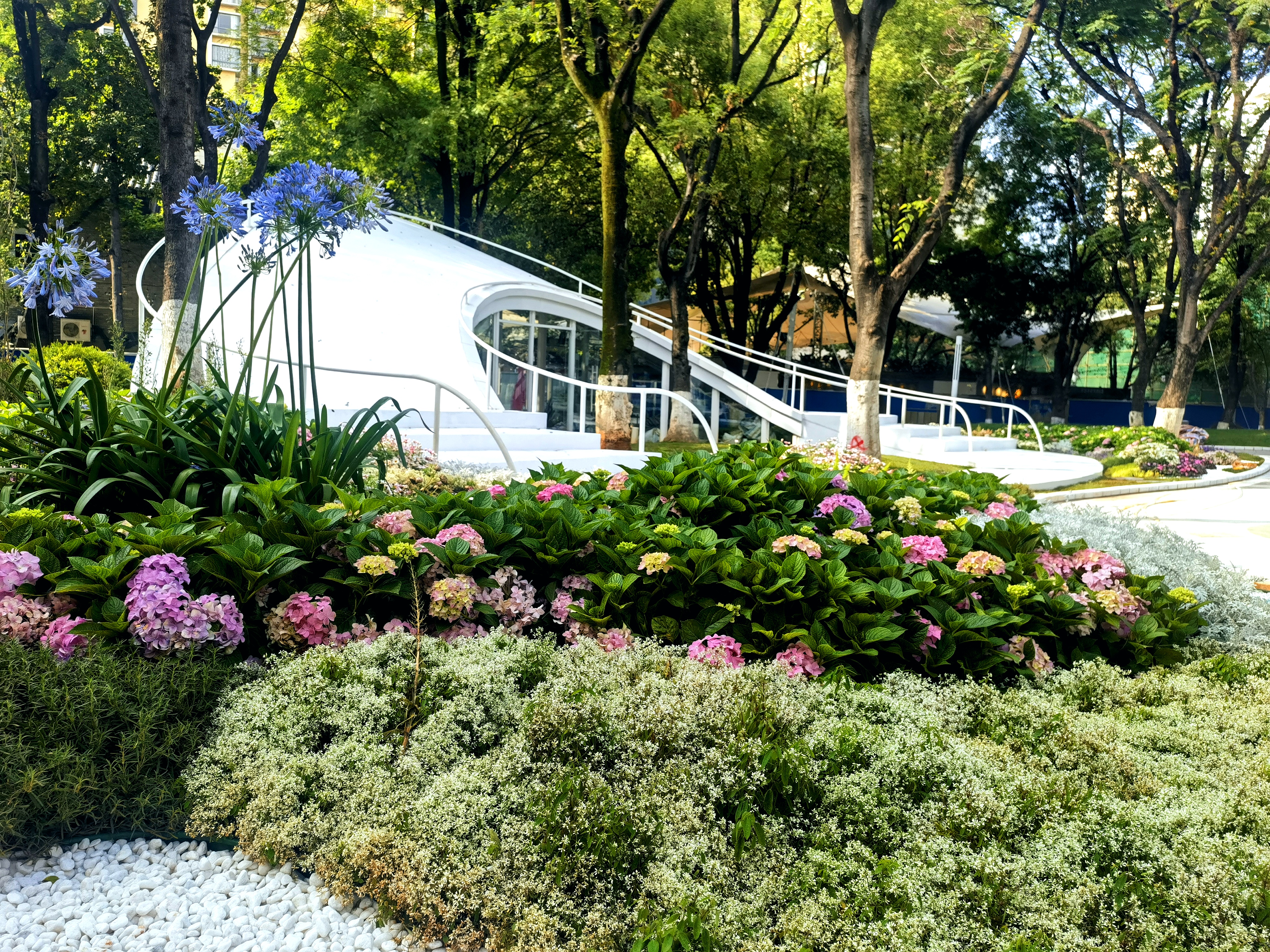 1749714424631841.jpg 1749714424631841.jpg