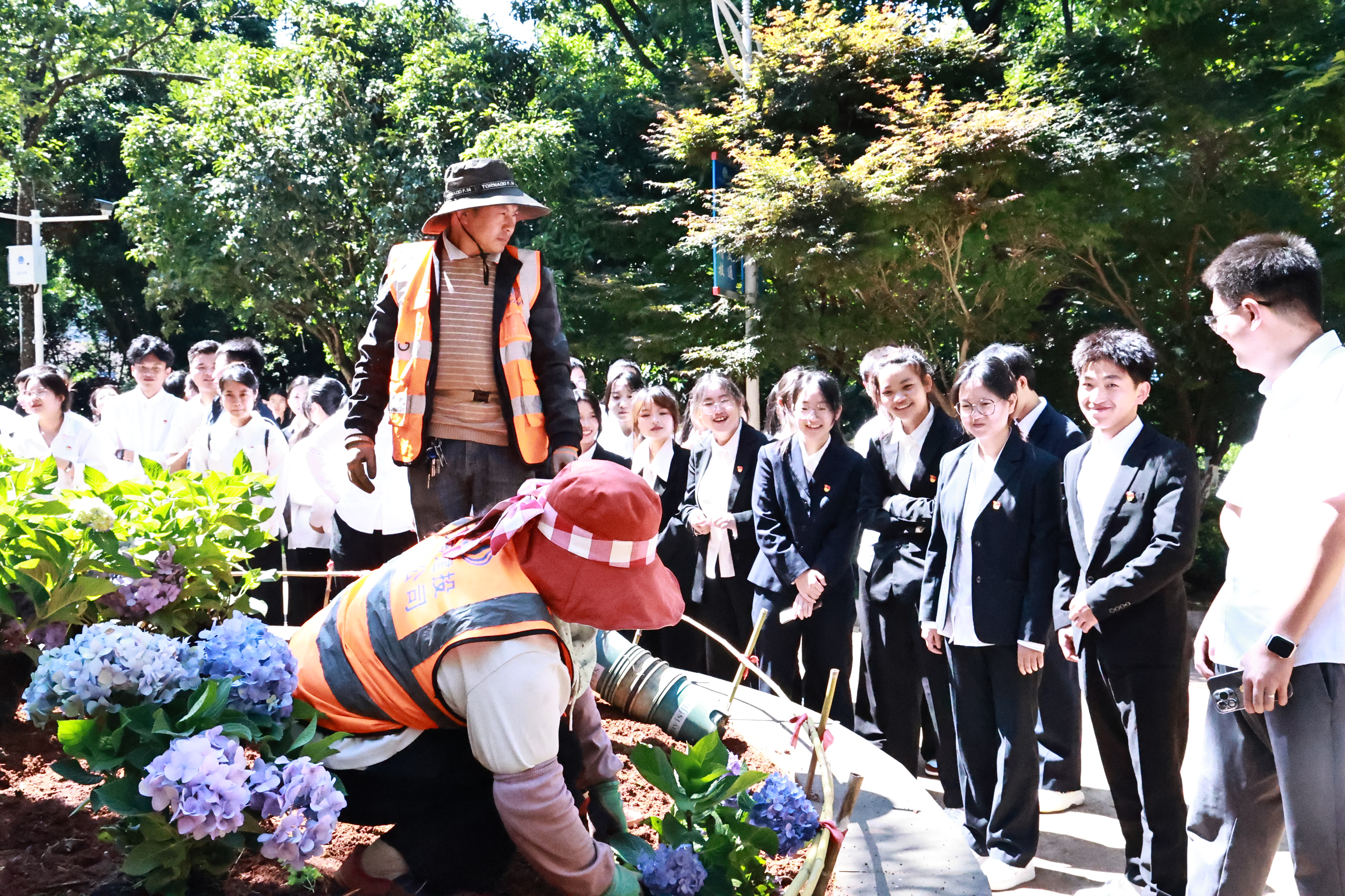 1750219226183076.jpg 1750219226183076.jpg