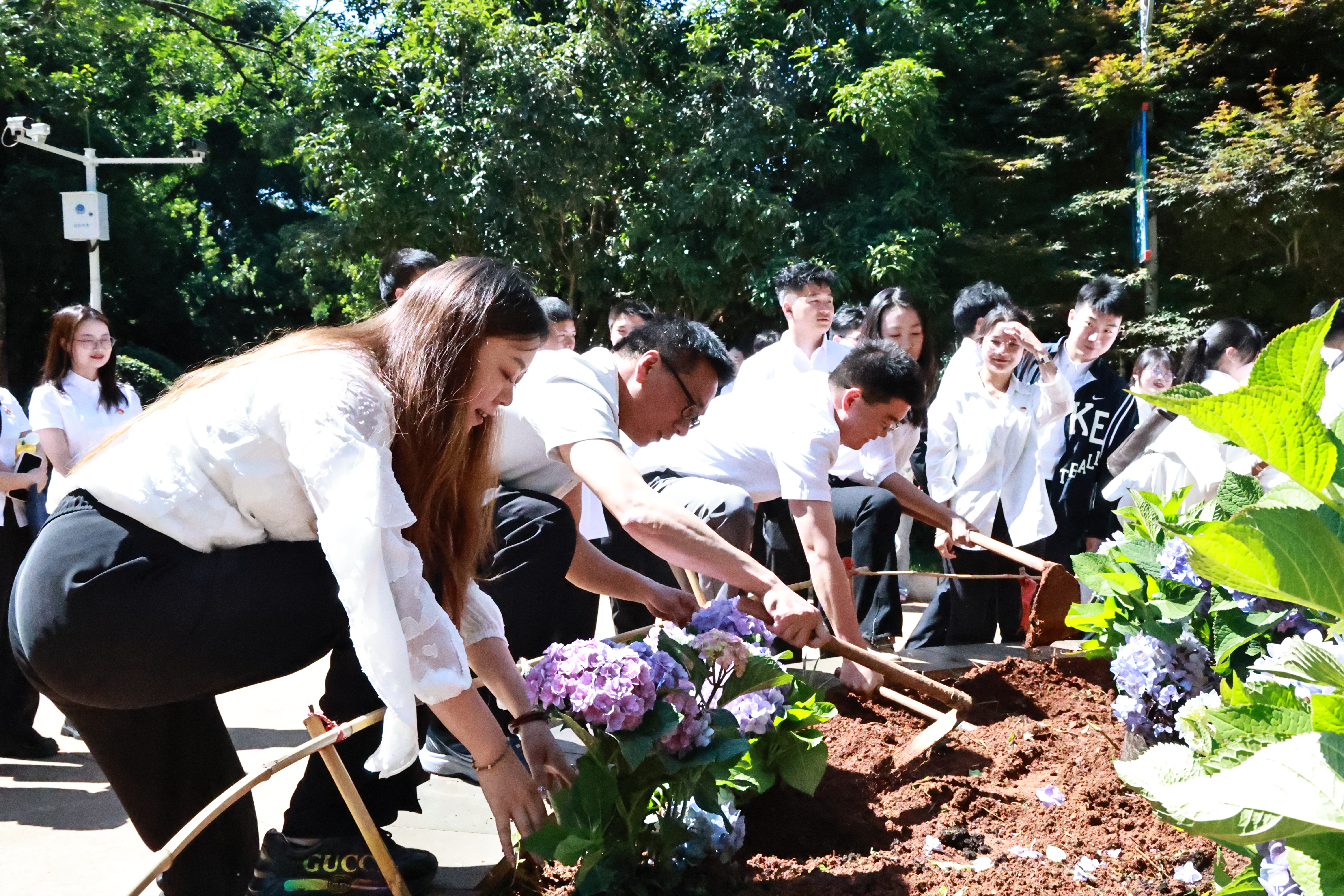 1750219267205800.jpg 1750219267205800.jpg